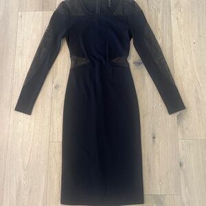 BCBG Mesh Cut Out Dress